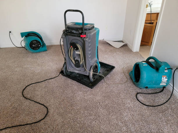 Best Carpet water damage restoration  in Willimantic, CT
