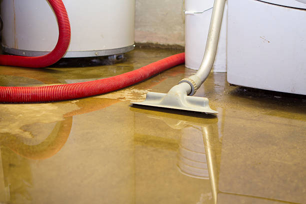 Best Flood restoration services  in Willimantic, CT