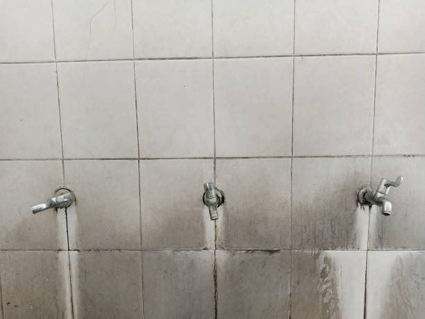 Best Sewage cleanup and water damage restoration  in Willimantic, CT