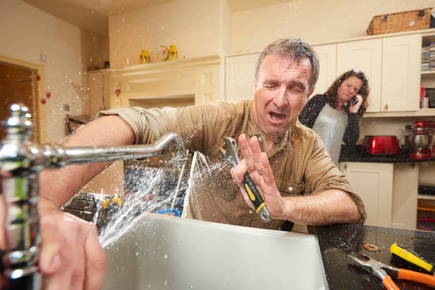 Best Water damage cleanup near me  in Willimantic, CT